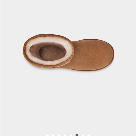 UGG Classic Tall II Boots in Chesnut - Picture 5 of 12